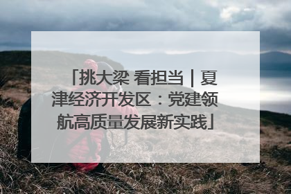 挑大梁 看担当｜夏津经济开发区：党建领航高质量发展新实践