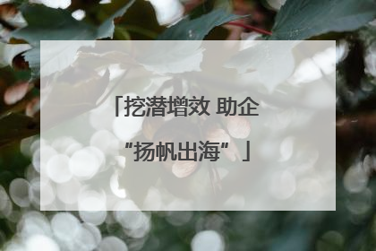 挖潜增效 助企“扬帆出海”