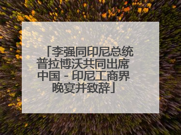 李强同印尼总统普拉博沃共同出席中国－印尼工商界晚宴并致辞
