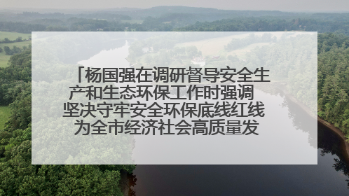 杨国强在调研督导安全生产和生态环保工作时强调 坚决守牢安全环保底线红线 为全市经济社会高质量发展提供坚强保障