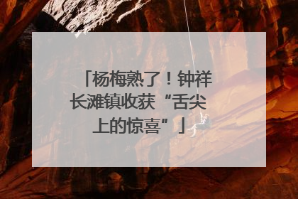 杨梅熟了！钟祥长滩镇收获“舌尖上的惊喜”