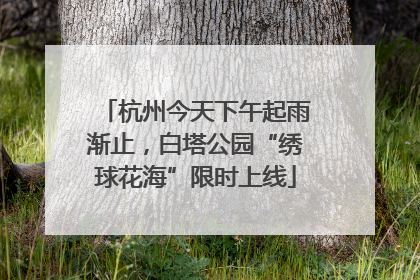 杭州今天下午起雨渐止，白塔公园“绣球花海”限时上线