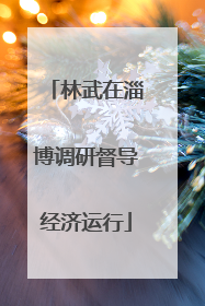 林武在淄博调研督导经济运行