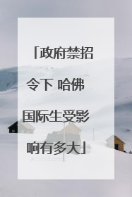 政府禁招令下 哈佛国际生受影响有多大
