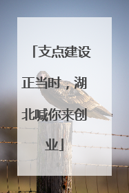 支点建设正当时，湖北喊你来创业