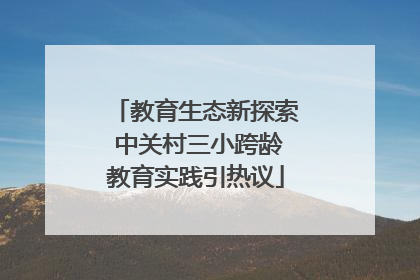 教育生态新探索 中关村三小跨龄教育实践引热议