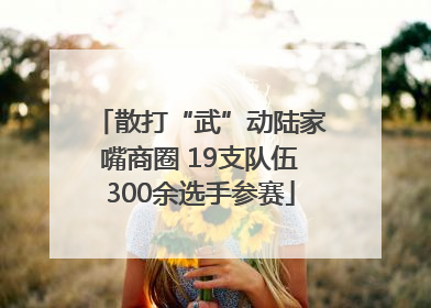 散打“武”动陆家嘴商圈 19支队伍300余选手参赛