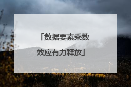 数据要素乘数效应有力释放