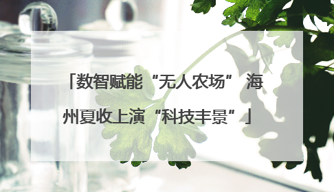 数智赋能“无人农场” 海州夏收上演“科技丰景”