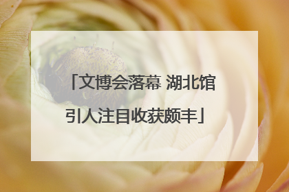文博会落幕 湖北馆引人注目收获颇丰