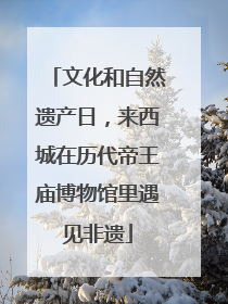 文化和自然遗产日，来西城在历代帝王庙博物馆里遇见非遗