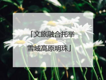 文旅融合托举雪域高原明珠
