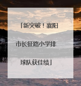 新突破！襄阳市长征路小学排球队获佳绩