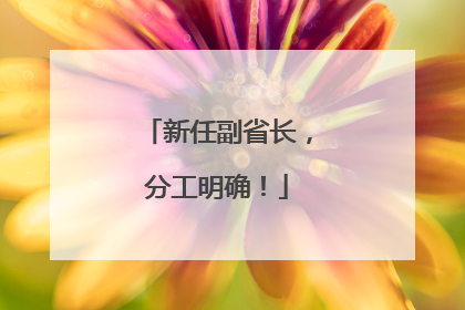 新任副省长，分工明确！