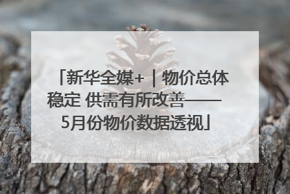 新华全媒+｜物价总体稳定 供需有所改善——5月份物价数据透视