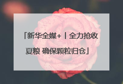 新华全媒+丨全力抢收夏粮 确保颗粒归仓