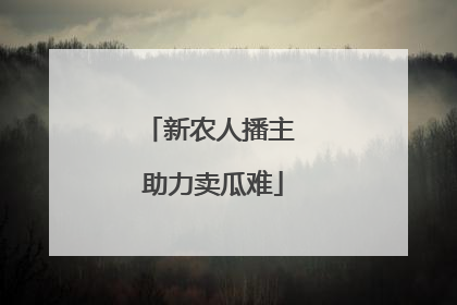 新农人播主 助力卖瓜难