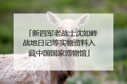 新四军老战士沈如峰战地日记等实物资料入藏中国国家博物馆