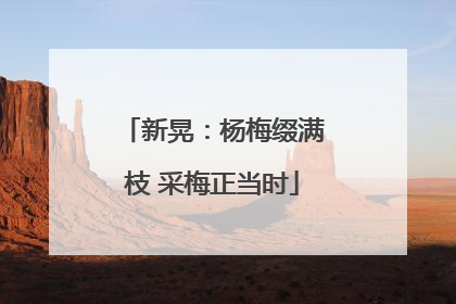 新晃：杨梅缀满枝 采梅正当时