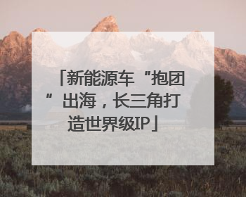 新能源车“抱团”出海，长三角打造世界级IP