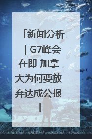 新闻分析｜G7峰会在即 加拿大为何要放弃达成公报