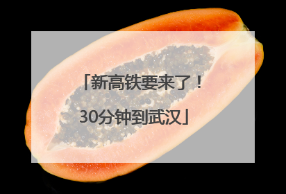新高铁要来了！30分钟到武汉