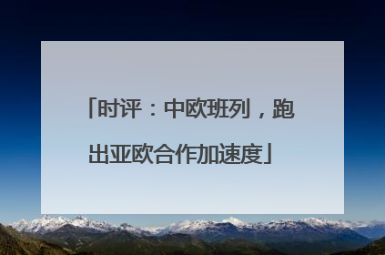时评：中欧班列，跑出亚欧合作加速度