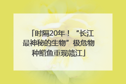 时隔20年！“长江最神秘的生物”极危物种鳤鱼重现赣江