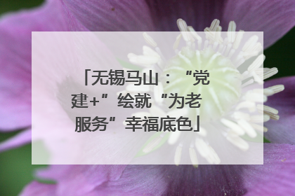 无锡马山：“党建+”绘就“为老服务”幸福底色