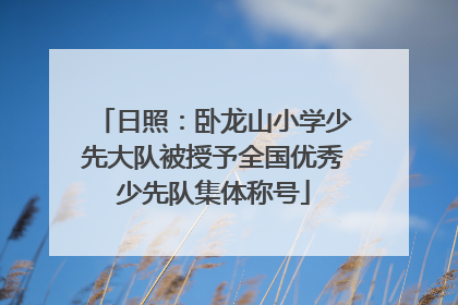 日照：卧龙山小学少先大队被授予全国优秀少先队集体称号
