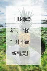 旧梯焕新，“梯”升幸福新高度