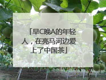 早C晚A的年轻人，在亮马河边爱上了中国茶