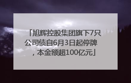 旭辉控股集团旗下7只公司债自6月3日起停牌，本金额超100亿元