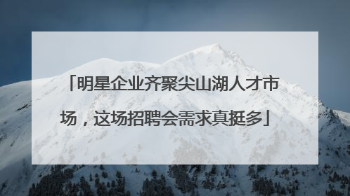明星企业齐聚尖山湖人才市场，这场招聘会需求真挺多