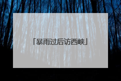 暴雨过后访西峡