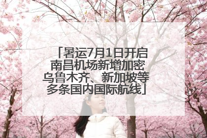暑运7月1日开启 南昌机场新增加密乌鲁木齐、新加坡等多条国内国际航线