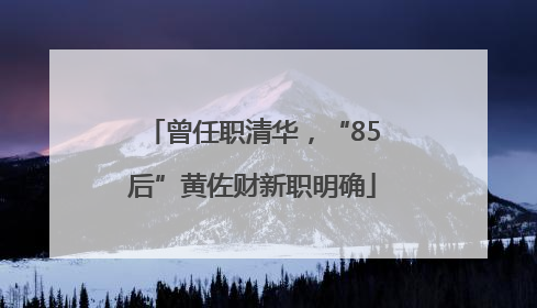 曾任职清华，“85后”黄佐财新职明确