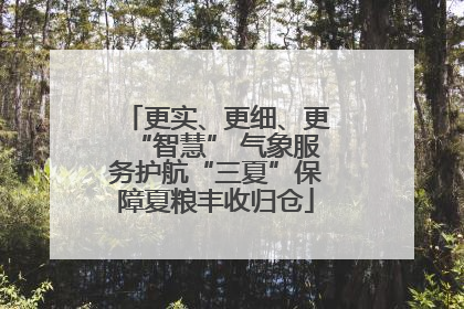 更实、更细、更“智慧” 气象服务护航“三夏”保障夏粮丰收归仓