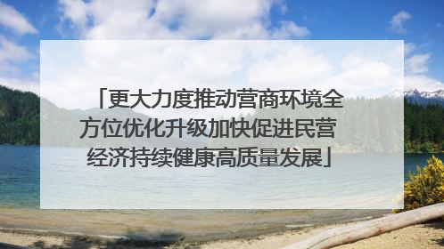 更大力度推动营商环境全方位优化升级加快促进民营经济持续健康高质量发展