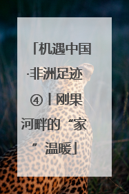机遇中国·非洲足迹 ④丨刚果河畔的“家”温暖