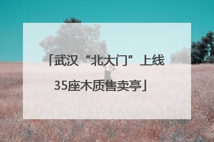 武汉“北大门”上线35座木质售卖亭