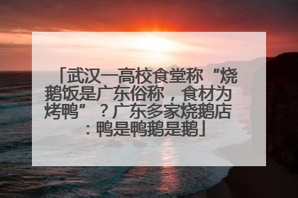 武汉一高校食堂称“烧鹅饭是广东俗称，食材为烤鸭”？广东多家烧鹅店：鸭是鸭鹅是鹅