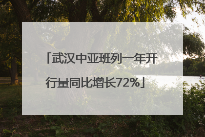 武汉中亚班列一年开行量同比增长72%