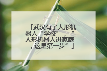 武汉有了人形机器人“学校”，“人形机器人进家庭，这是第一步”