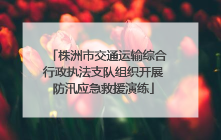 株洲市交通运输综合行政执法支队组织开展防汛应急救援演练