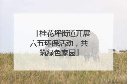 桂花坪街道开展六五环保活动，共筑绿色家园