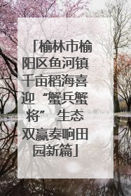 榆林市榆阳区鱼河镇千亩稻海喜迎“蟹兵蟹将” 生态双赢奏响田园新篇