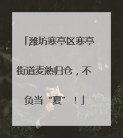 潍坊寒亭区寒亭街道麦熟归仓，不负当“夏”！
