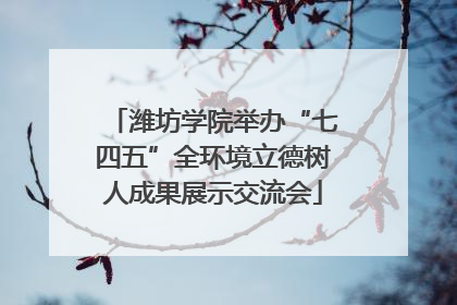 潍坊学院举办“七四五”全环境立德树人成果展示交流会