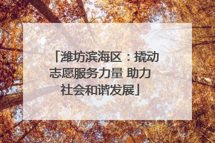 潍坊滨海区：撬动志愿服务力量 助力社会和谐发展